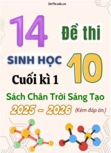 Tuyển tập 14 Đề thi cuối kì 1 năm học 2025-2026 môn Sinh học 10 CTST (Kèm đáp án)
